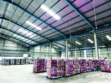 Focusing on Large Scale & Timely Delivery